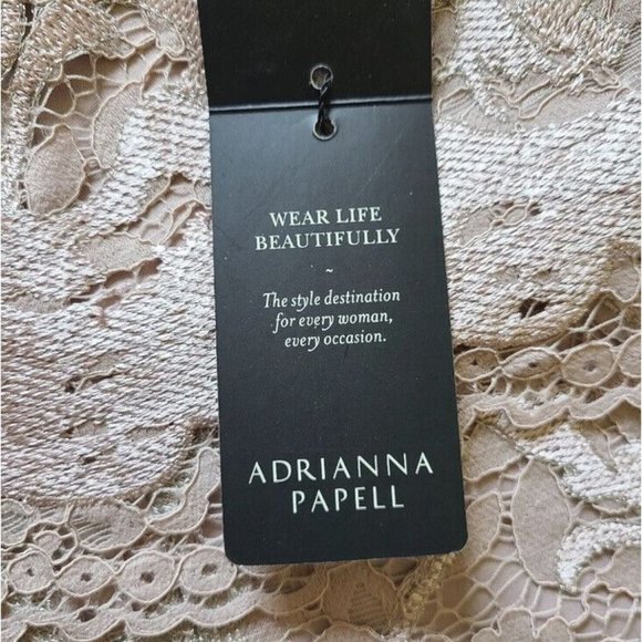 NWT Adrianna Papell Dusty Rose Embroidered Lace Popover Dress Size 2 NEW - Picture 8 of 15